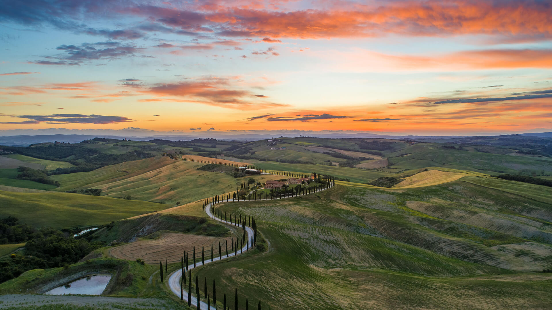 Fred, ro, dufte, smagsoplevelser og smukke landskaber i Toscana